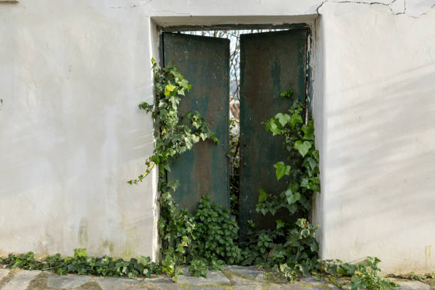 istock Green gate overrun by ivy, Ronda, Spain 1130971267
