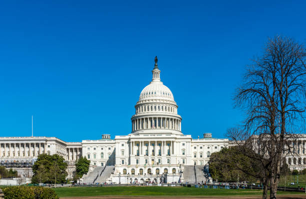 istock Spring at the United States Capitol 1130973270