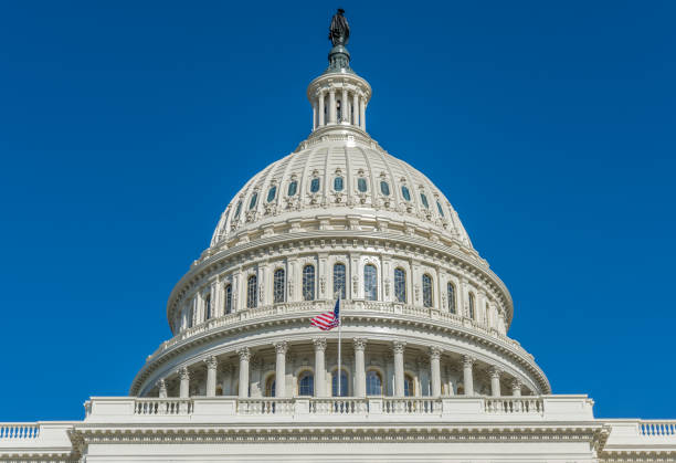 istock Capitol Dome Shining in the Sunlight 1130973880