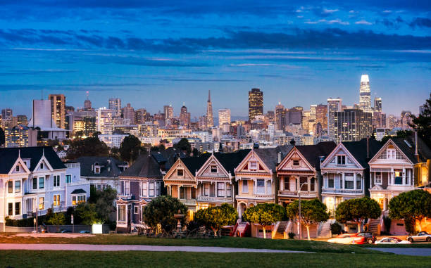 塗装されたレディースとサンフランシスコのスカイライン - san francisco county san francisco bay area house painted ladies ストックフォトと画像