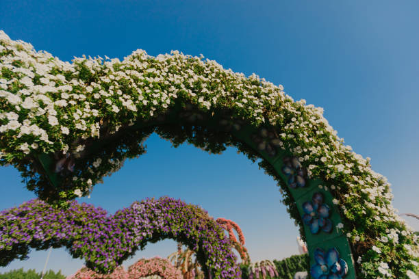 istock flower bed with colorful flowers - Image 1130975518