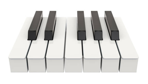 7 피아노 키, 한 옥타브. 음악 개념입니다. 흰색 배경에 고립 된 3d 렌더링 - piano key piano musical instrument music 뉴스 사진 이미지