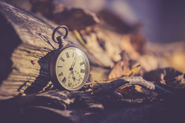 istock Hand held stop watch outdoors, autumn, blurry background 1130981915