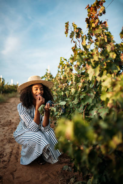 istock Young black woman eating a grape in a vineyard 1130982778
