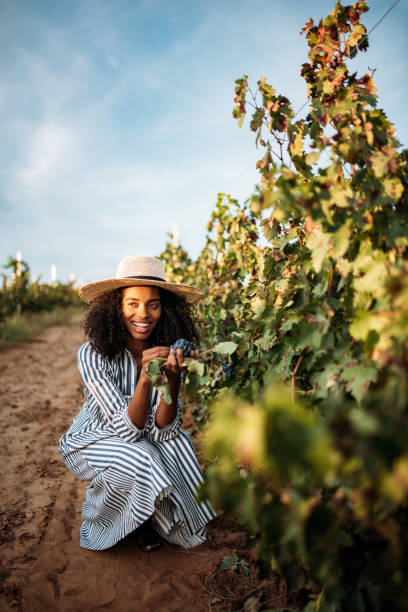 istock Young black woman eating a grape in a vineyard 1130982783