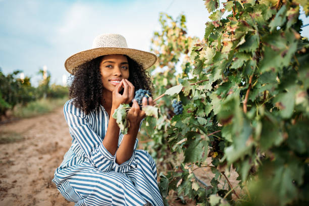 istock Young black woman eating a grape in a vineyard 1130982790