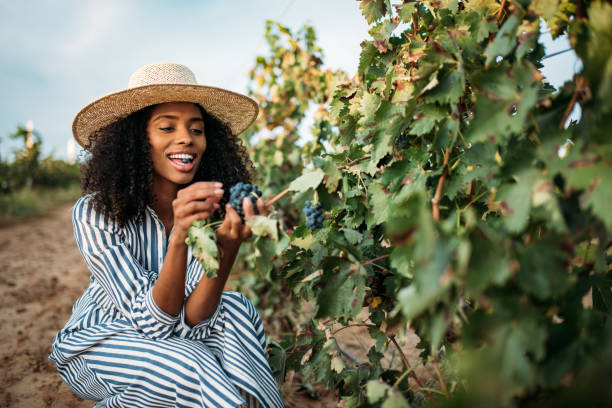 istock Young black woman eating a grape in a vineyard 1130982791