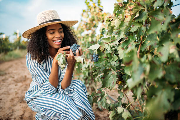 istock Young black woman eating a grape in a vineyard 1130982797