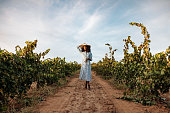 Young woman walking in a path in the middle of a vineyard