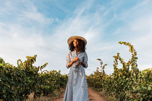 Young woman in a straw hat walking in a path in the middle of a vineyard with a bunch of grapes in hands