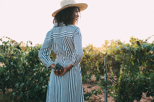 Back view of a woman standing in a path in the middle of a vineyard with a bunch of grapes in hands