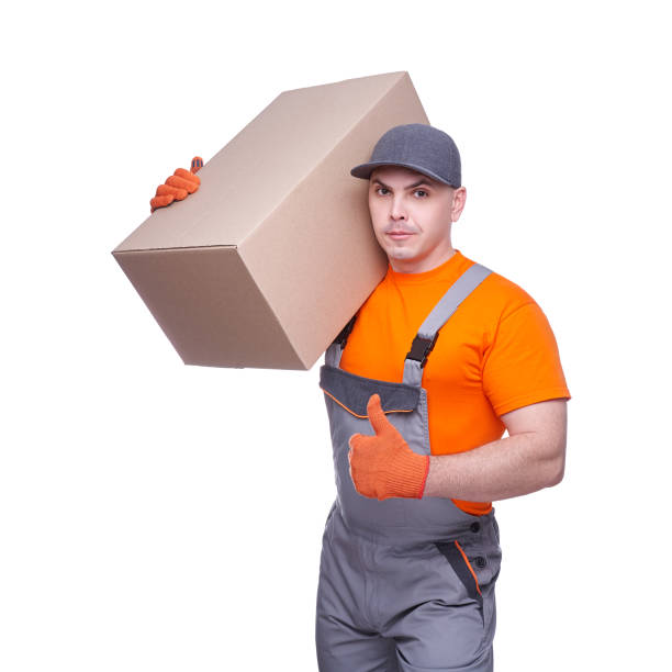 istock Courier deliver cargo isolated on white background 1130984845