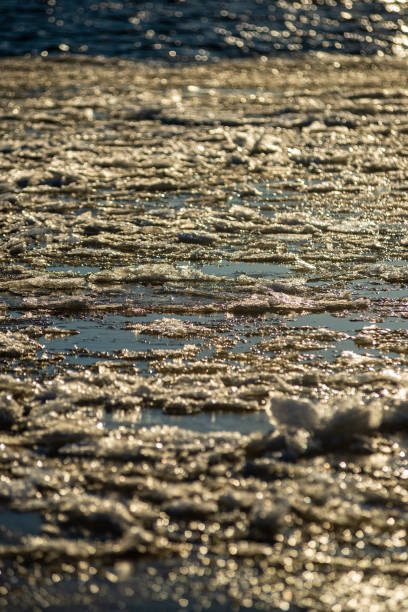 istock frozen ice blocks on sea beach in winter 1130985105