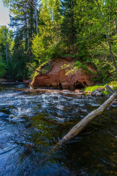 istock sandstone cliffs on the shore of forest river 1130985657