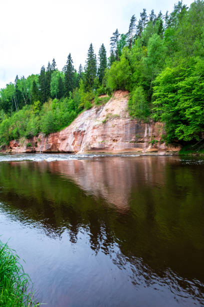 istock sandstone cliffs on the shore of forest river 1130985712