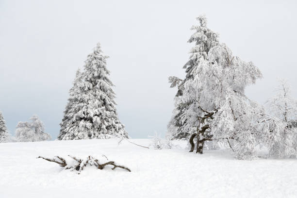 istock Winter in Winterberg, Germany 1130988064