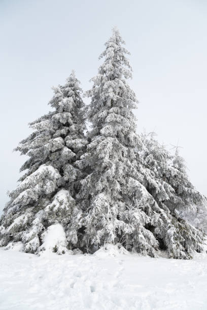istock Winter in Winterberg, Germany 1130988074