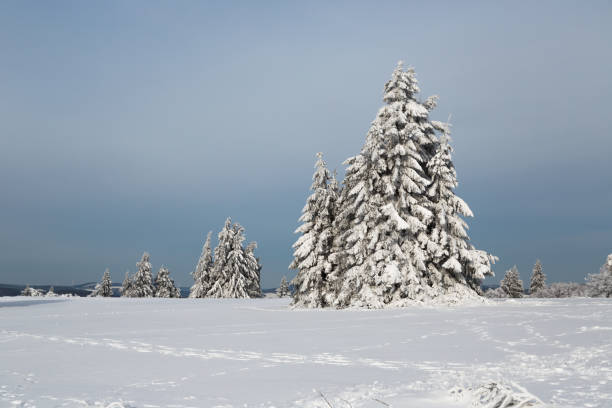 istock Winter in Winterberg, Germany 1130988088