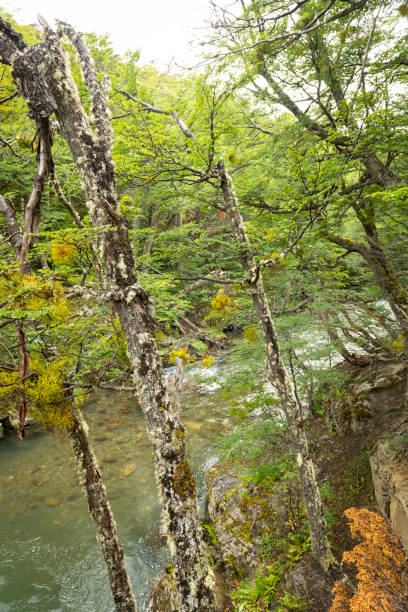 istock Bahia Lapataia, Ushuaia-Argentina 1130989667