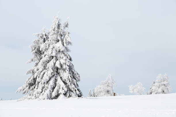 istock Winter in Winterberg, Germany 1130989699