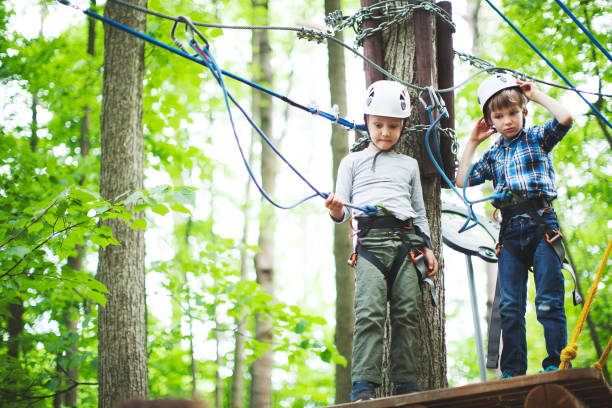 istock Little boys on zip line 1130989899