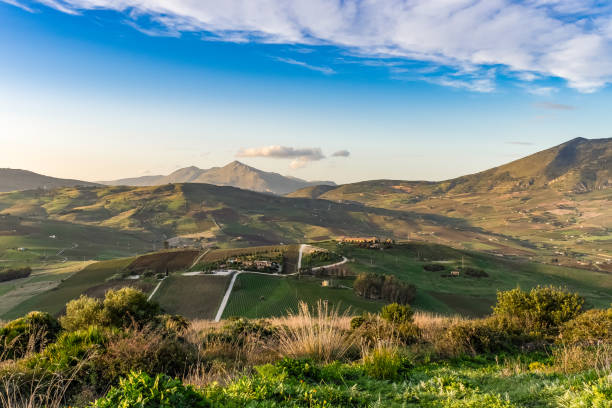 Rural scene in the province of Trapani in Sicily stock photo