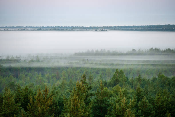 istock colorful sunrise sunset in misty summer meadow 1130991138
