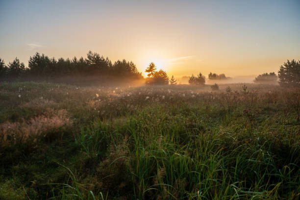 istock colorful sunrise sunset in misty summer meadow 1130991156