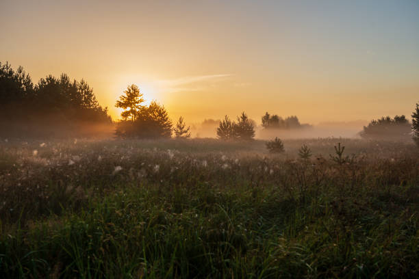 istock colorful sunrise sunset in misty summer meadow 1130991157