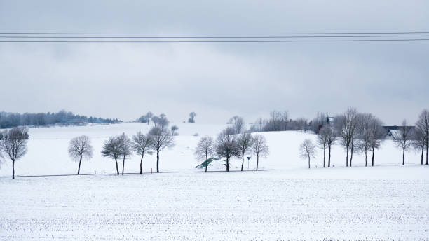 Winter landscape in Bad Wünnenberg, Germany Trees in a beautiful winter landscape vakantie stock pictures, royalty-free photos & images