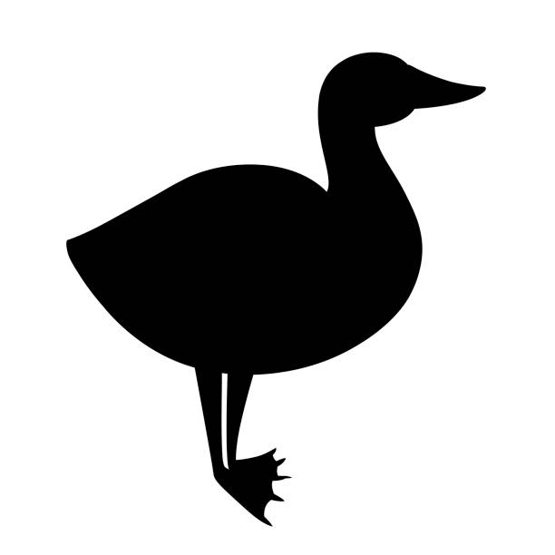 schwarze silhouette. weiße gans. bauernhof heimische tiere. flache tiergestaltung. großer hausvogel. vektorillustration isoliert auf weißem hintergrund - duck animal egg isolated bird stock-grafiken, -clipart, -cartoons und -symbole