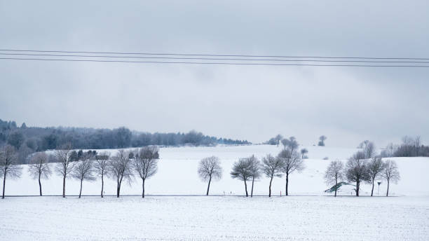 Winter landscape in Bad Wünnenberg, Germany Trees in a beautiful winter landscape vakantie stock pictures, royalty-free photos & images