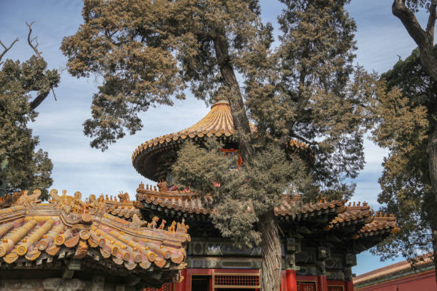 istock Forbidden city in Beijing 1131001313