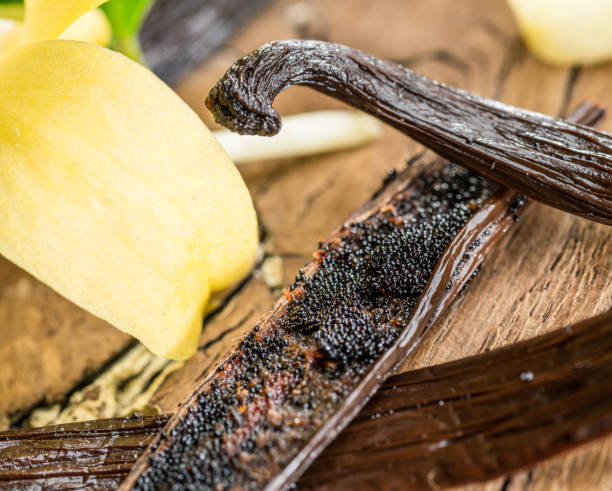 istock Dried vanilla fruits and vanilla orchid. 1131005976