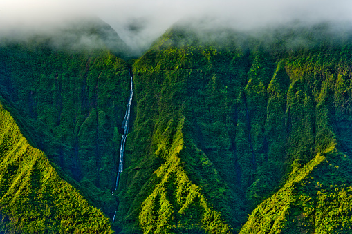 Rain forest on mountains surrounding Hanalei Valley on Kauai