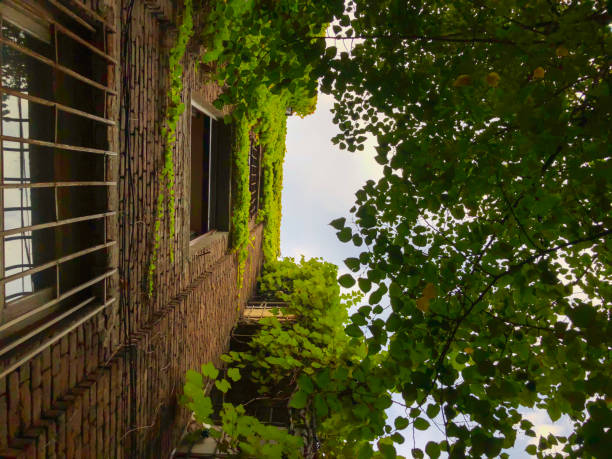 istock Tall old brick building next to green trees against the sky. Building partially leafy 1131006910