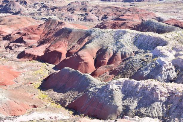 istock Painted Desert, Petrified Forest National Park 1131009278