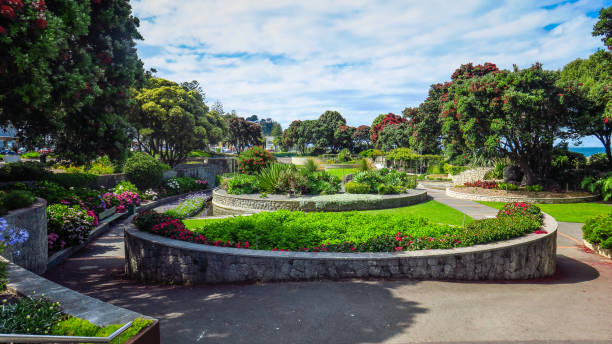 istock Exploring Napier in New-Zealand 1131009300