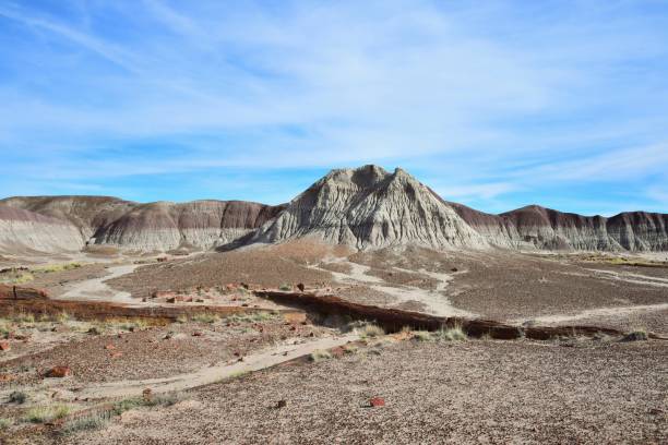 istock Long Logs, Petrified Forest National Park 1131009413