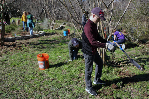 MLK Holiday Day of Service, Pease Park, Austin, Texas Austin, Tx, USA - Jan. 21, 2019:  A young boy volunteer breaks up a mud clod while removing weeds with his father in Pease Park during the Martin Luther King Holiday Day of Service. martin luther king jr day stock pictures, royalty-free photos & images