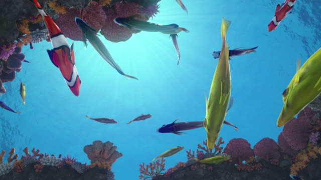 Seamless looping animation of colorful fish on a vibrant coral reef
