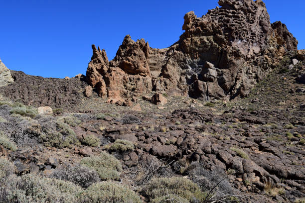 istock Teide national park in Tenerife 1131012095