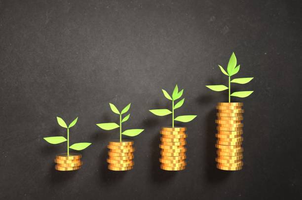 Making your investments grow!