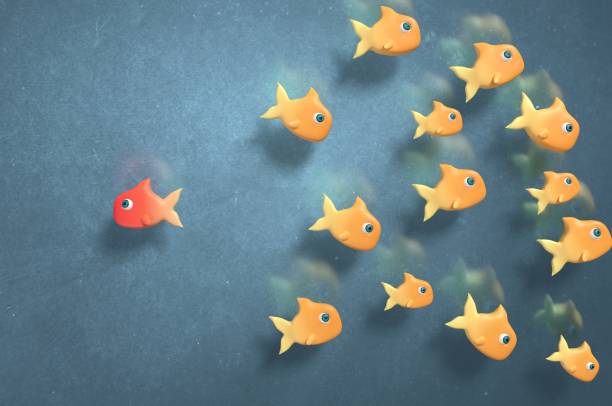 Stand out and be Against the flow