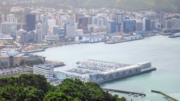istock Exploring Wellington in New Zealand 1131012326