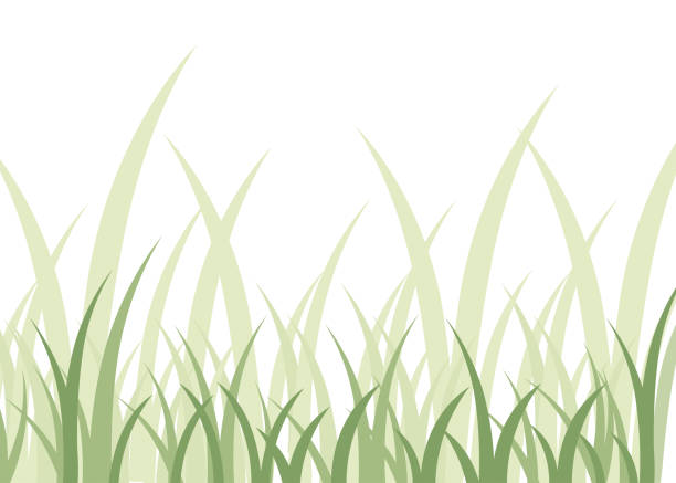 녹색 잔디입니다. 풍경 또는 배경에 대 한 평면 벡터 일러스트 레이 션 - blade of grass stock illustrations
