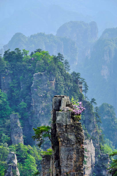 Zhangjiajie National Forest Park, located in Hunan, China, is renowned for its towering sandstone pillars that inspired the floating mountains in the movie Avatar. This UNESCO World Heritage Site features breathtaking views, lush forests, and thrilling glass bridges, making it a paradise for nature lovers and adventurers.