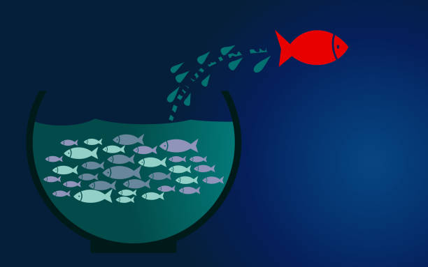 istock Fish jumping outside the aquarium 1131018211