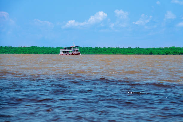 Meeting of the waters of the Negro and Solimoes Rivers Typical passenger boat from the Amazon region sailing in Manaus, capital of the State of Amazonas
The Amazon florest in the background rio negro brazil stock pictures, royalty-free photos & images