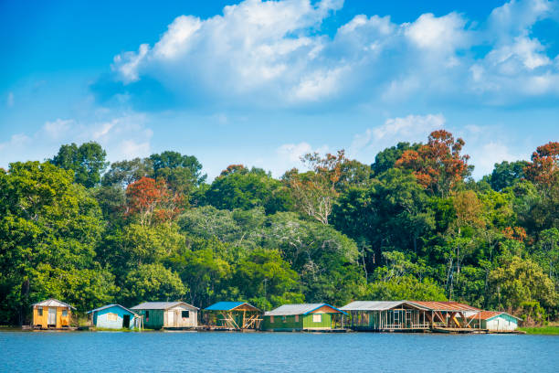 istock Riverside population in the Amazon Region 1131024200